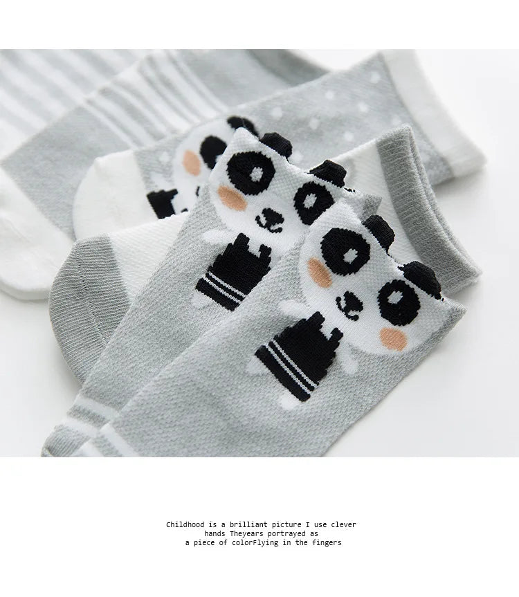 Lot de 5 Paires de Chaussettes Bébé en Coton - Maille Respirante - 0-2 ans